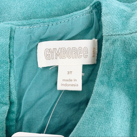 Gymboree Baby Sleeveless Teal Velvet Dress - Picture 4 of 7